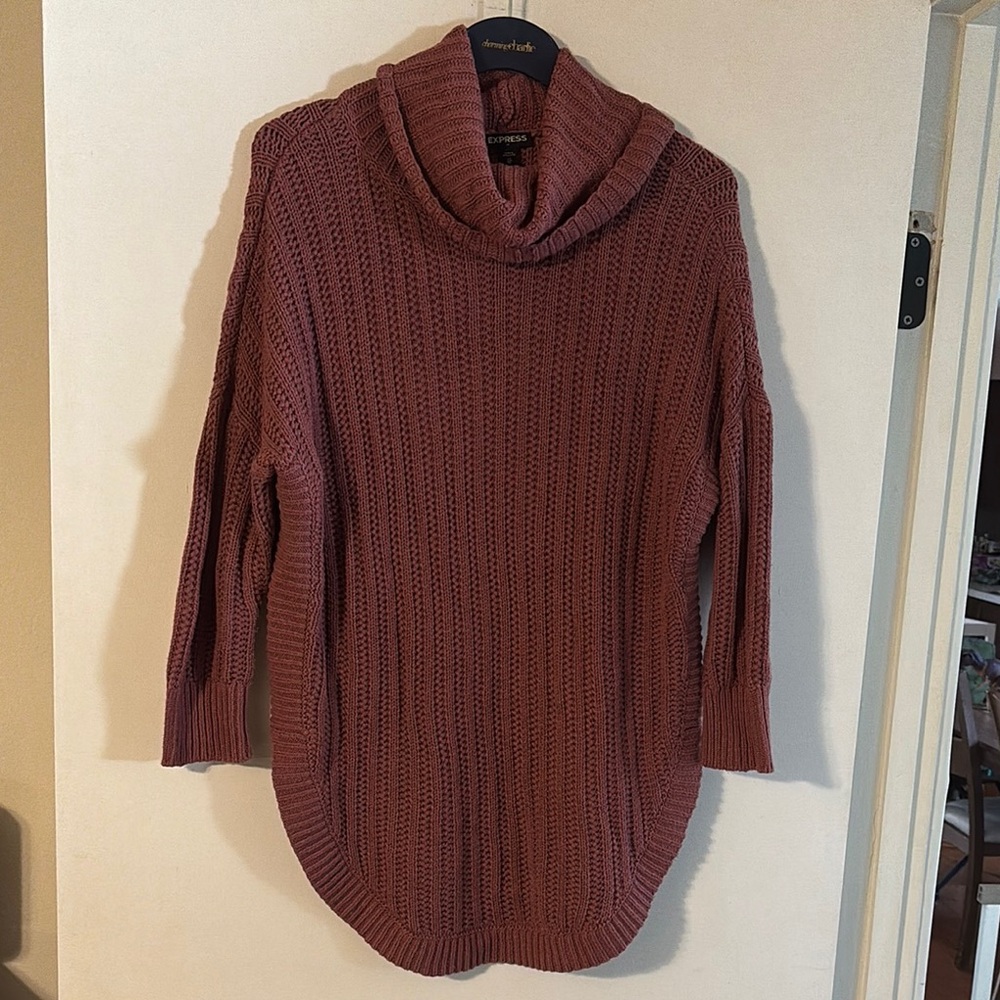 Express Turtleneck Sweater